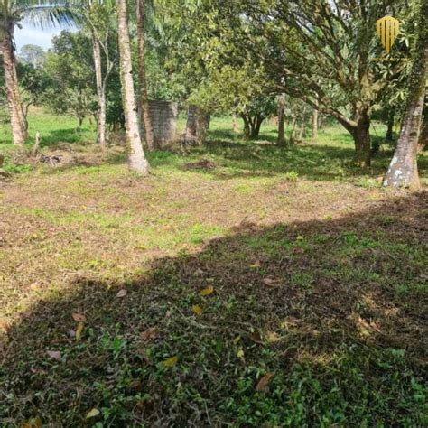 farm lot for sale in tanay rizal